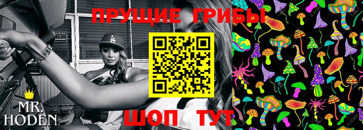 Россошь  Псилоцибиновые грибы ЛСД  Вход с VPN  Псилоцибиновые грибы ЛСД 